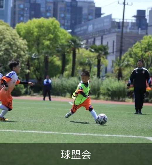 球盟会简介